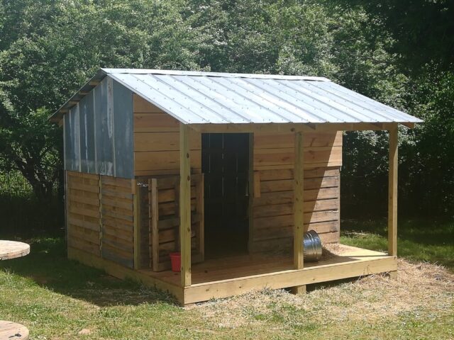 goat barn built from pallets and old tin roofing recycled materials